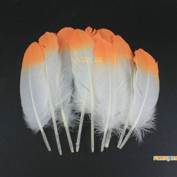 Plumes d'oies blanches frisées - Plumes Naturelles