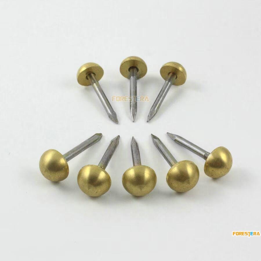 10-Piece Large 19mm Brass Upholstery Nails With Domed Heads - Non-Rust Decorative Tacks