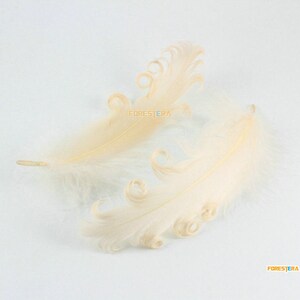 10 Pieces Light Peach Pink Feather 10-17CM (YM544)