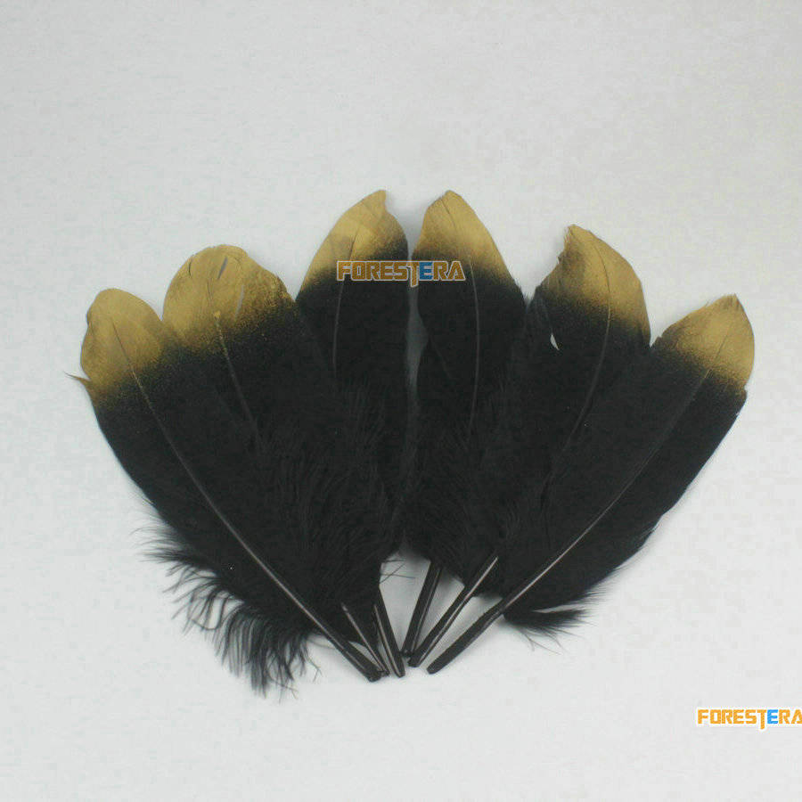 10 Pieces Black Feather 14-20cm (YM466) - Etsy