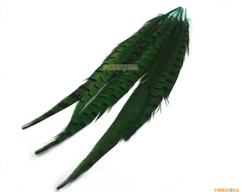5 piezas pluma verde 25-30cm (YM57)