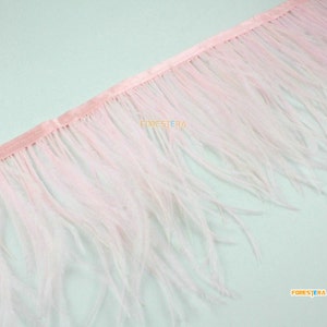 1 Yard Light Pink Feather Trim (YM271)