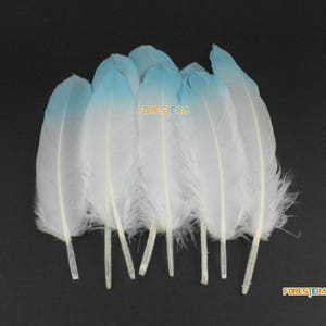 10 Pieces White Feather Blue Painted Feather 14-20cm (YM476)