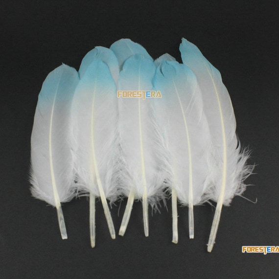 10 Pieces White Feather Blue Painted Feather 14-20cm (YM476) - Etsy