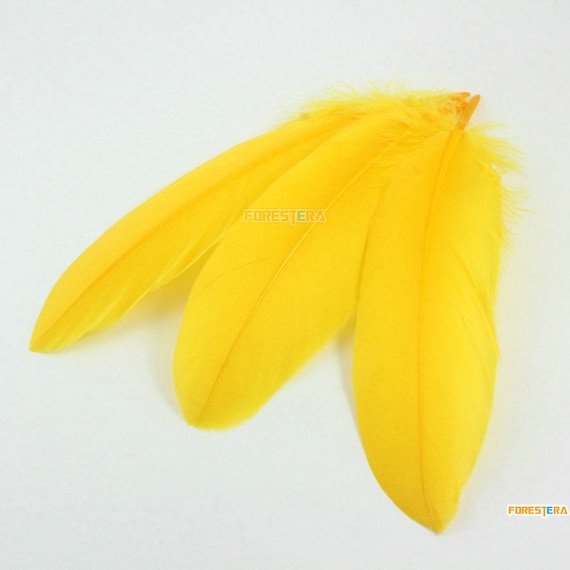 HARIM ハリム Leef Feather with Golden rose Ringneck Pheasant Rump