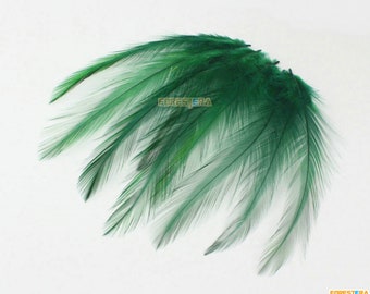 40 Piezas Pluma Verde Oscuro 8-15cm (YM629)