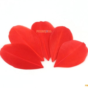 50 Pieces Red Feather 5-8cm (YM84)