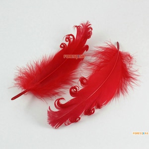10 Pieces Red Feather 10-17CM (YM547)