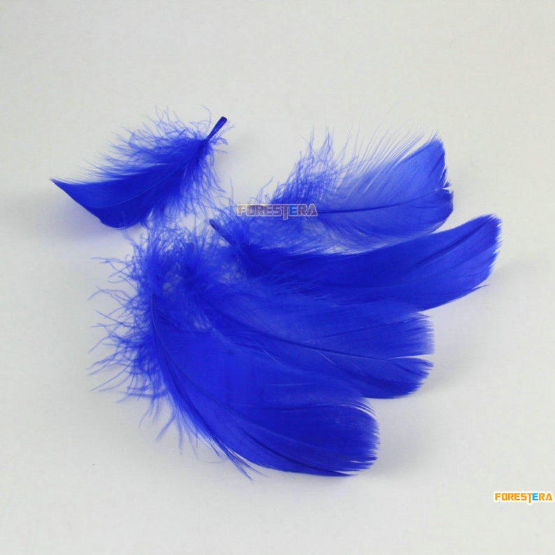 100 Pieces Dark Blue Feather 6-12CM YM396 image 4