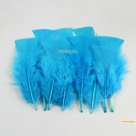 50 Pieces Lake Blue Feather 8-15cm (YM506) - Etsy