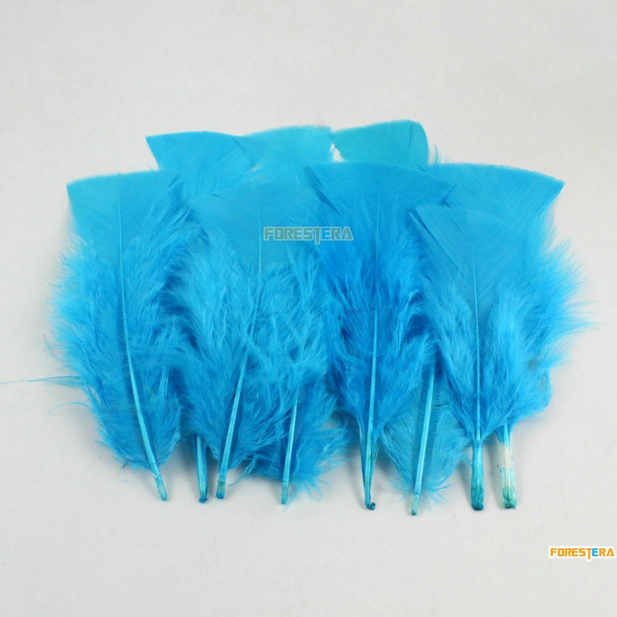 50 Pieces Lake Blue Feather 8-15cm (YM506) - Etsy