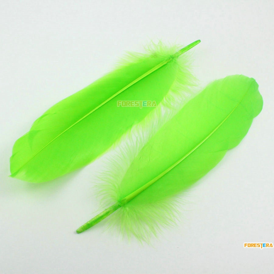 Feathers All Purpose Yellow 14 Grm Pack 
