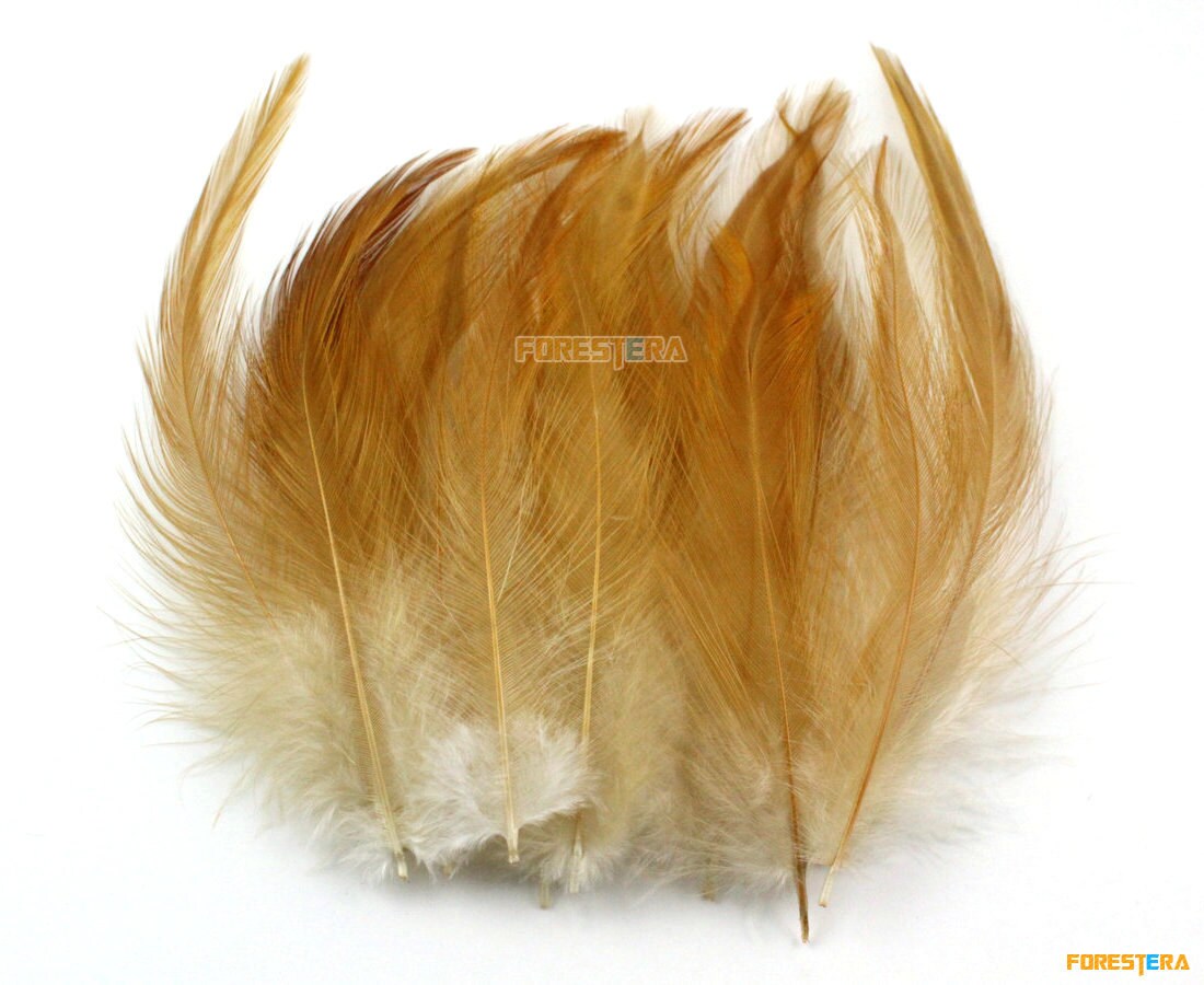 50 Pieces Light Brown Feather 815cm YM33 Etsy