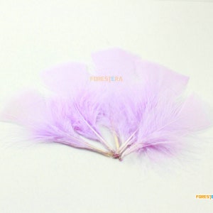 50 Pieces Light Purple Feather 5-10cm (YM604)