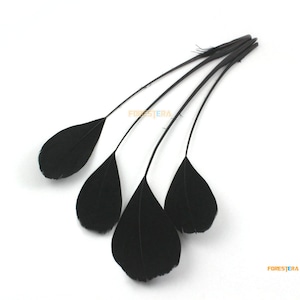 25 Pieces Black Feather 15-20cm (YM165)