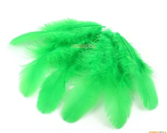 100 Piezas Pluma Verde 4-9cm (YM204)