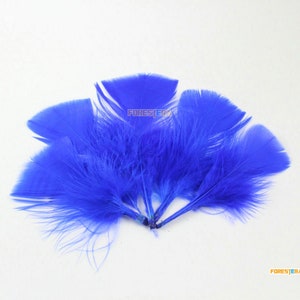 50 Pieces Blue Feather 5-10cm (YM601)