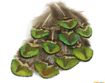 10 Pieces Green Peacock Feather 4-6cm (YM231)