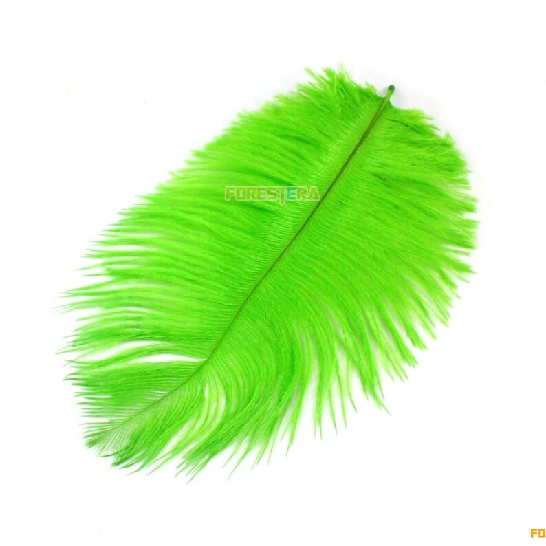5 Pieces Green Feather 1520cm YM113 Etsy