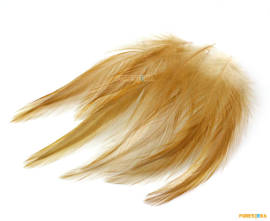 50 Pieces Light Brown Feather 815cm YM33 Etsy