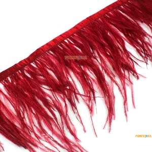 Peut inclure: Garniture de plumes rouges avec un dos en satin. La garniture mesure environ 3,8 cm de large et présente de longues plumes douces.