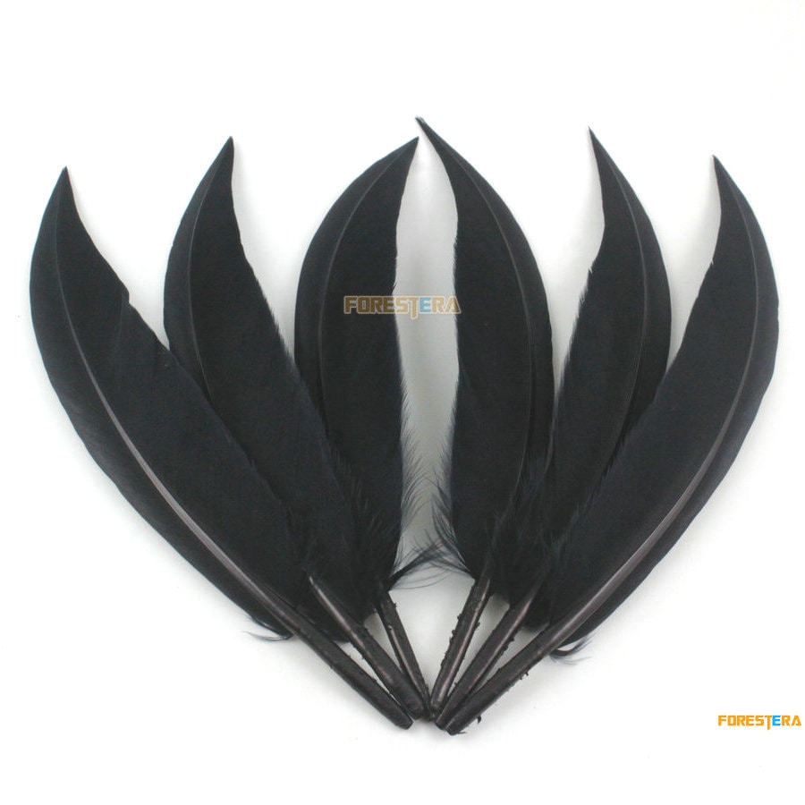 50 Pieces Black Feather 9-15cm YM153 