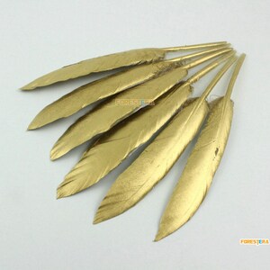 May include: A bunch of gold-colored feathers. The feathers are arranged in a fan shape and are all about the same size. They are a light gold color and have a soft, feathery texture.