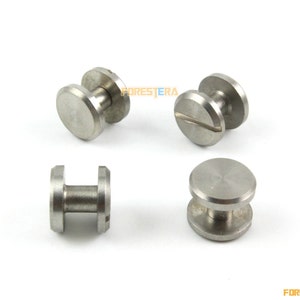 20 Set 10x5mm 304 In acciaio inox Rivet Chicago Screw per Pelle Craft Flat Head (SSF10X5)