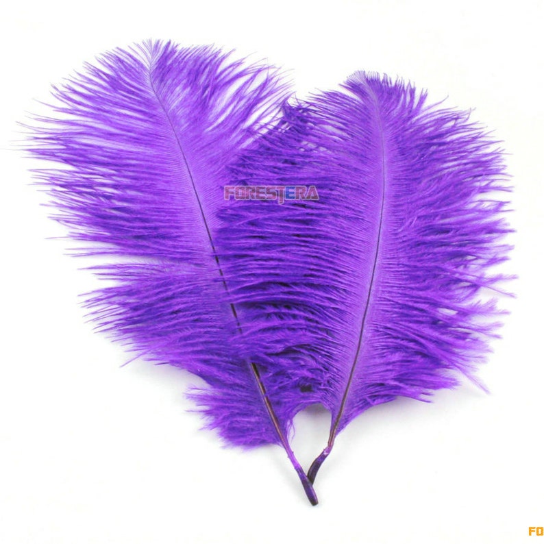 2 Pieces Purple Feather 2025cm YM122 Etsy