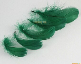 100 piezas pluma verde oscuro 6-12CM (YM403)