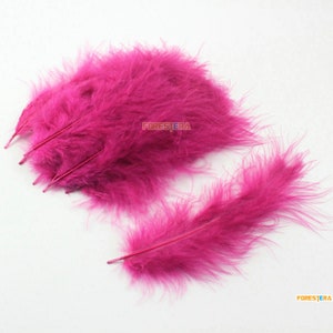 50 Pieces Wine Red Feather 8-15cm (YM614)