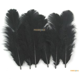 100 Pieces Black Feather 5-8cm (YM155)