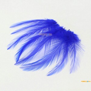 40 Pieces Navy Blue Feather 8-15cm (YM631)