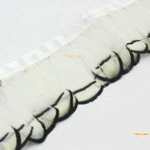 50cm White Feather Trim (YM164)