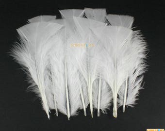 Puede incluir: Un manojo de plumas de avestruz blancas, dispuestas en forma de abanico. Las plumas son suaves y esponjosas, de color blanco natural.