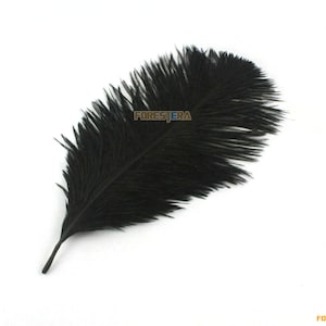 2 Pieces Black Feather 20-25cm (YM130)