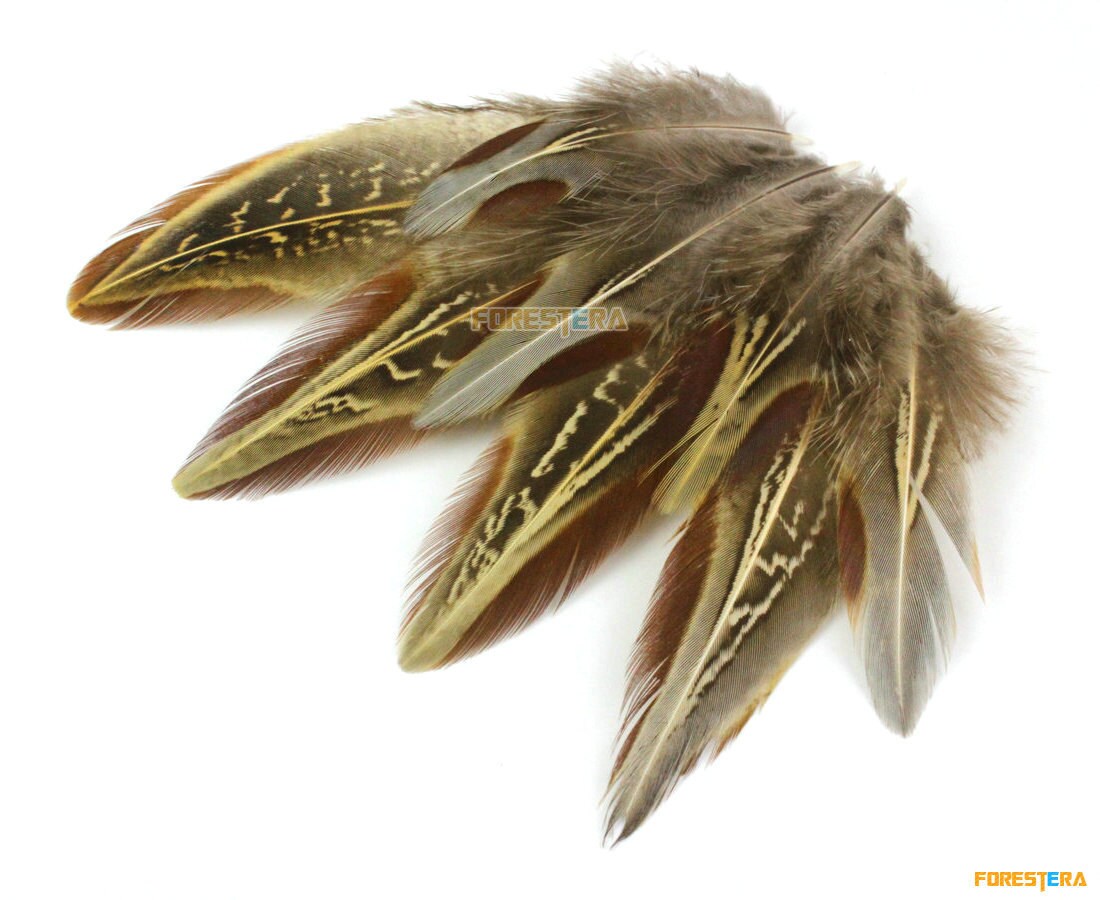 flowerlower320design Brown Feather 50 Pieces Gray Brown Feather 4-7cm (YM30) - Etsy