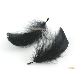 100 Pieces Black Feather 5-8cm (YM214)
