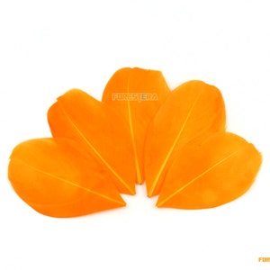 50 Pieces Orange Feather 5-8cm (YM86)