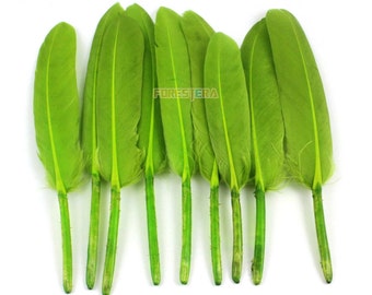 May include: A bunch of ten green feathers with a light green stripe down the center. The feathers are about 4 inches long and have a natural quill.