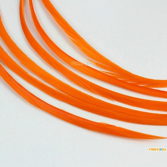 YM286 50 Pieces Orange Feather 8-16cm