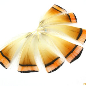 50 Pieces Orange  Feather 4-7cm (YM39)
