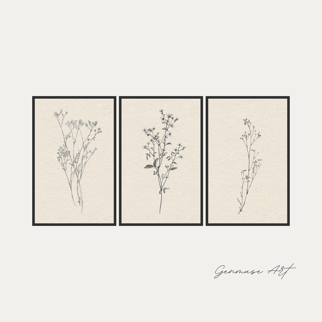 Vintage Wildflower Botanical Prints Set of 3, Black and White Line Art ...