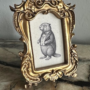 Art Print on Canvas, Hand-gilded Gold Baroque Frame, Vintage Dapper Beaver
