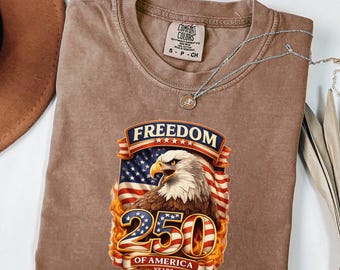 Retro USA 250 Shirt, Comfort Colors 4th of July Tee