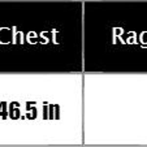 May include: A black and white table displaying garment measurements. The size is "One Size". Dress length is 31.5 inches (80cm), chest is 46.5 inches (118cm), raglan sleeve length is 13.0 inches (33cm), and hem is 47.2 inches (120cm).