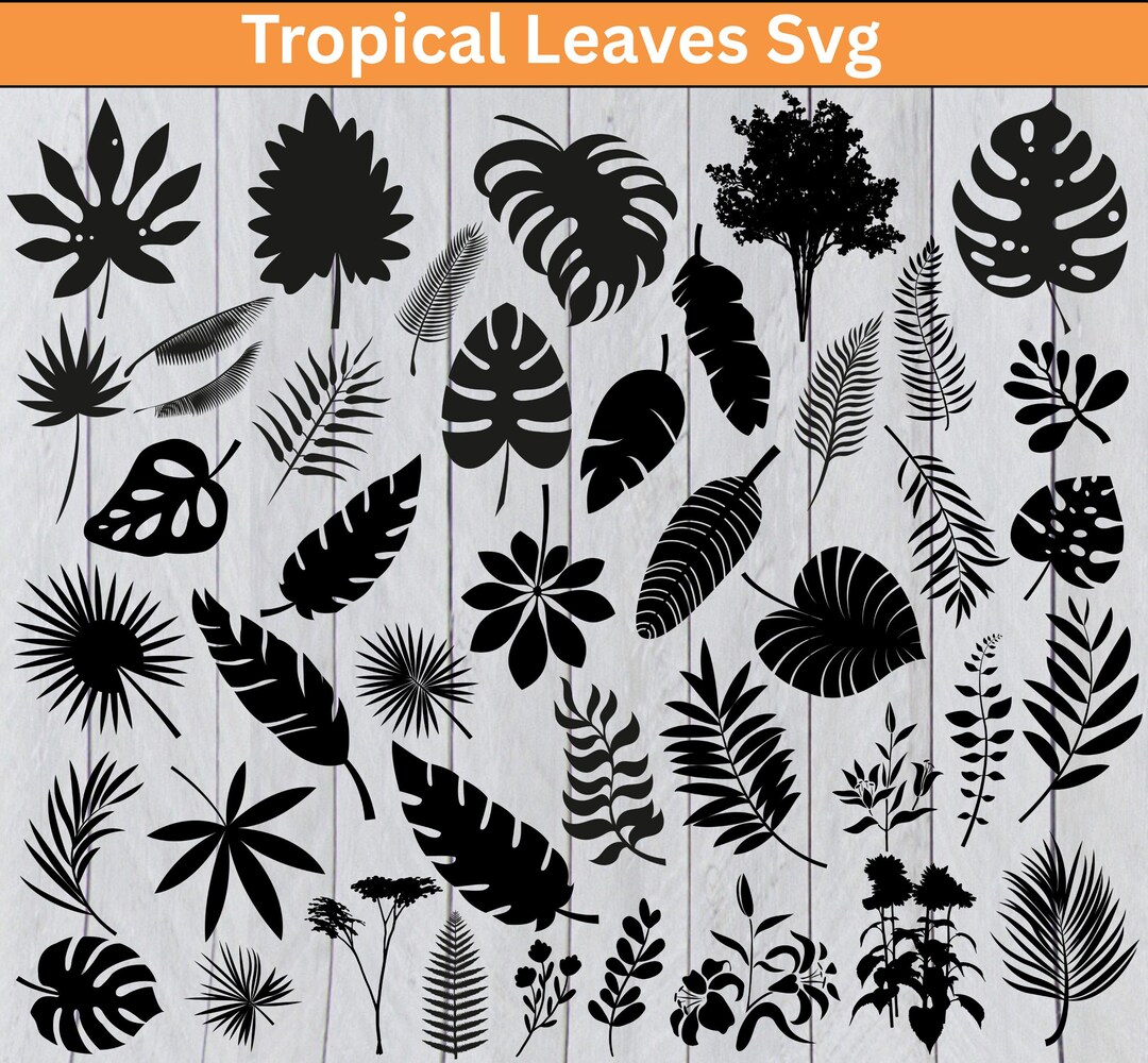 Tropical Leaves SVG Bundle | Palm Leaf SVG | Tropical Leaf Cut Files ...