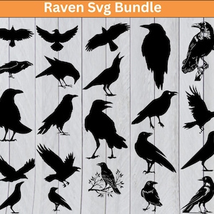 Könnte beinhalten: Eine Sammlung schwarzer Raben-Silhouetten in verschiedenen Posen, darunter fliegend, sitzend und stehend. Der Text "Raven Svg Bundle" ist oben zu sehen, ideal für Bastelprojekte.