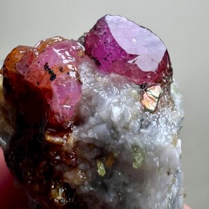 May include: A close-up of a raw mineral specimen featuring a vibrant, deep pink crystal formation. The crystal is set against a backdrop of white and gray rock with hints of green and brown. The surface has a reflective, glossy appearance.