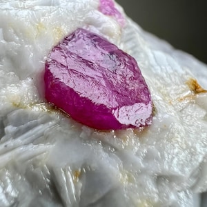 May include: A vibrant, raw ruby gemstone, displaying a deep magenta hue, is embedded in a matrix of white, crystalline rock. The ruby's surface has a rough, natural texture, contrasting with the smooth, opaque background.